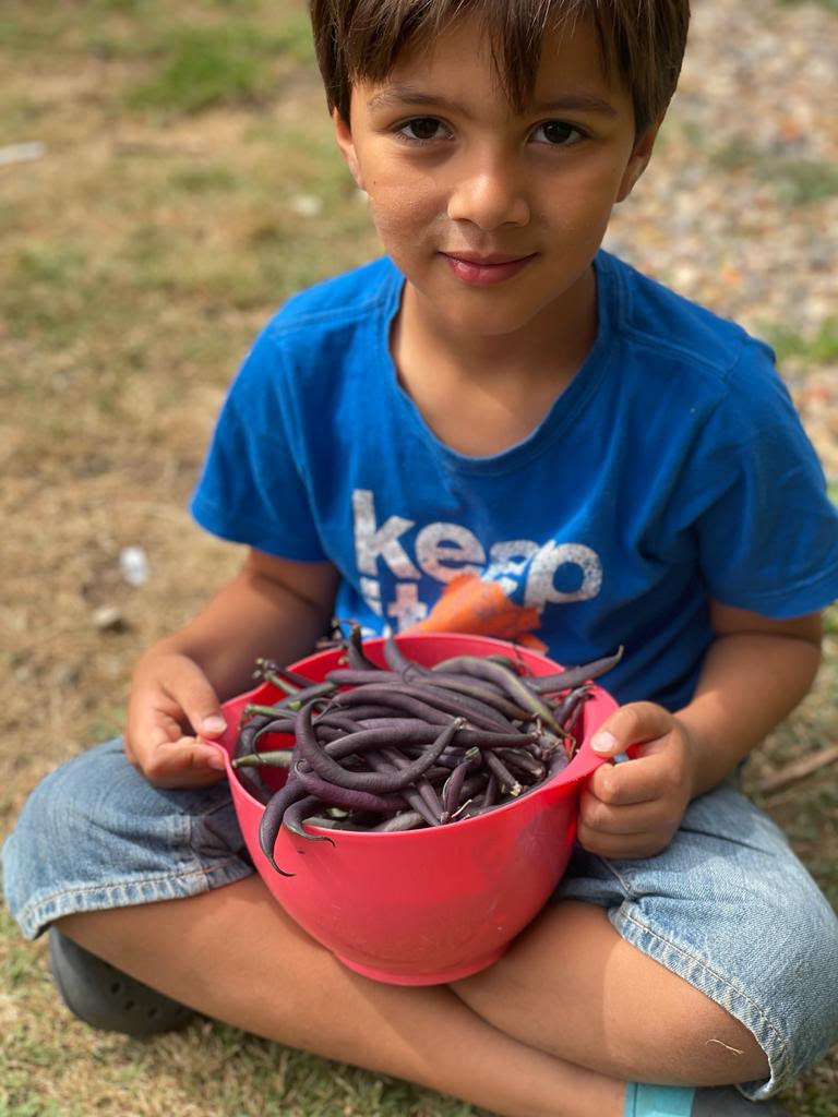 A boy holding a big bowl of purple beans he picked