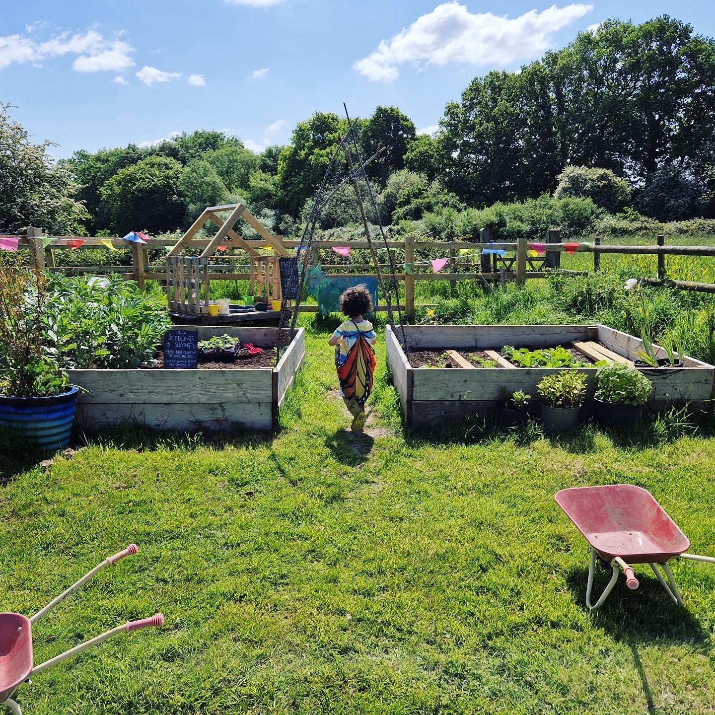 A child in butterfly wings running between the raised beds