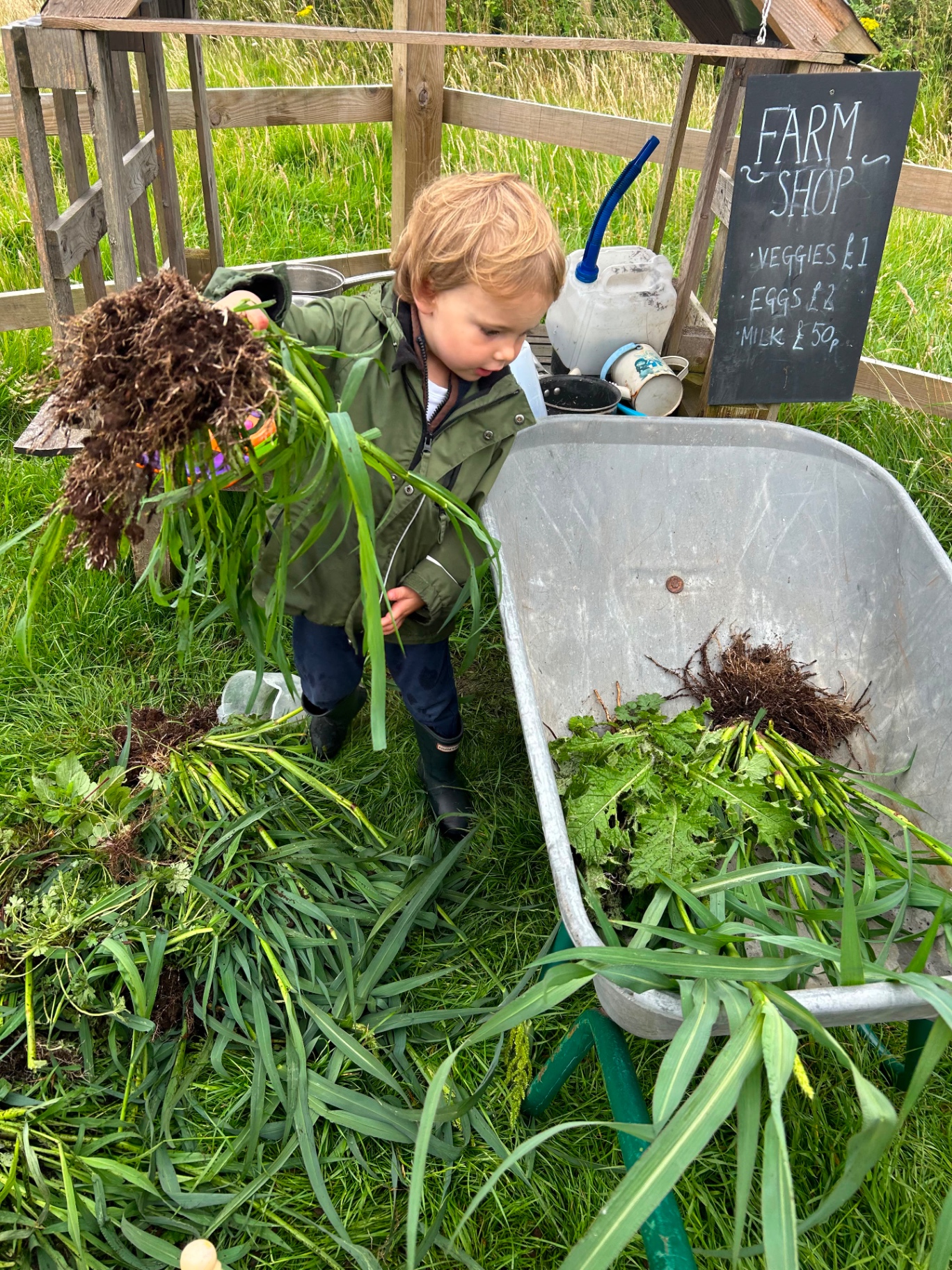A child loading greens into a wheelbarrow by a farm shop sign