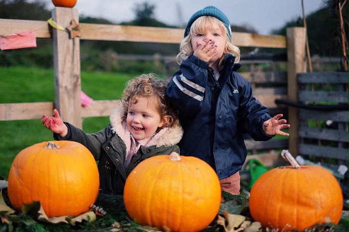 Two children behind a row of pumpkins