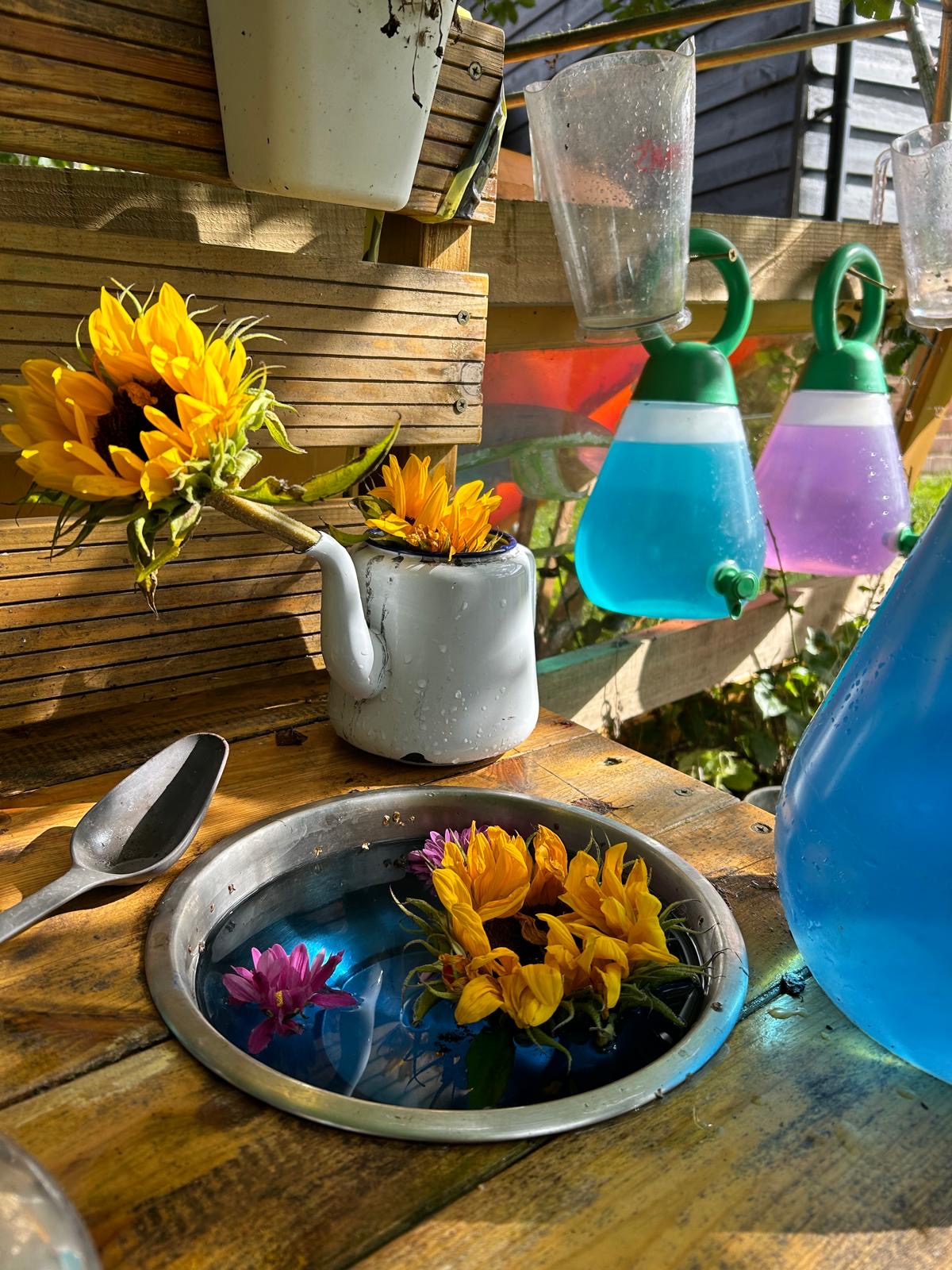 Sunflowers, an enamel teapot and jars of blue and purple potion water at the mud kitchen
